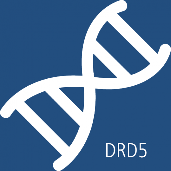 Datei:Drd5.png